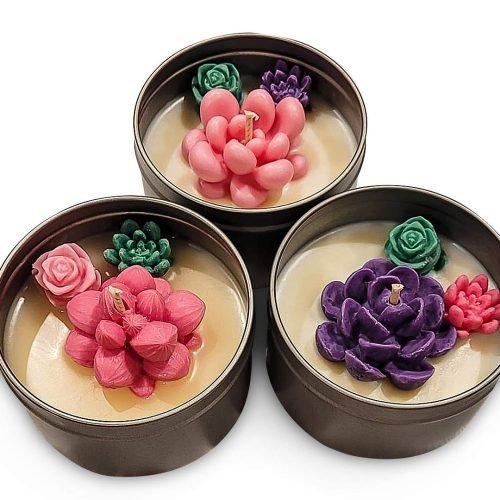 Succulent Candle